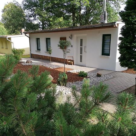 Ferienhaus Regina Neudorf  المظهر الخارجي الصورة